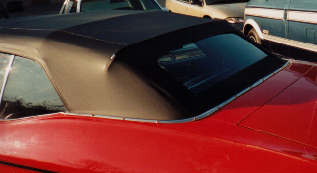 Tiger Auto Trim & Upholstery Roof 1